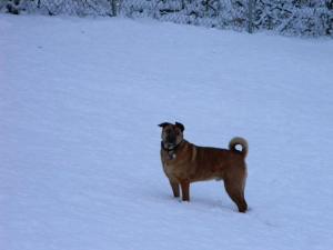 1794628_10203236125973976_1248739240_n