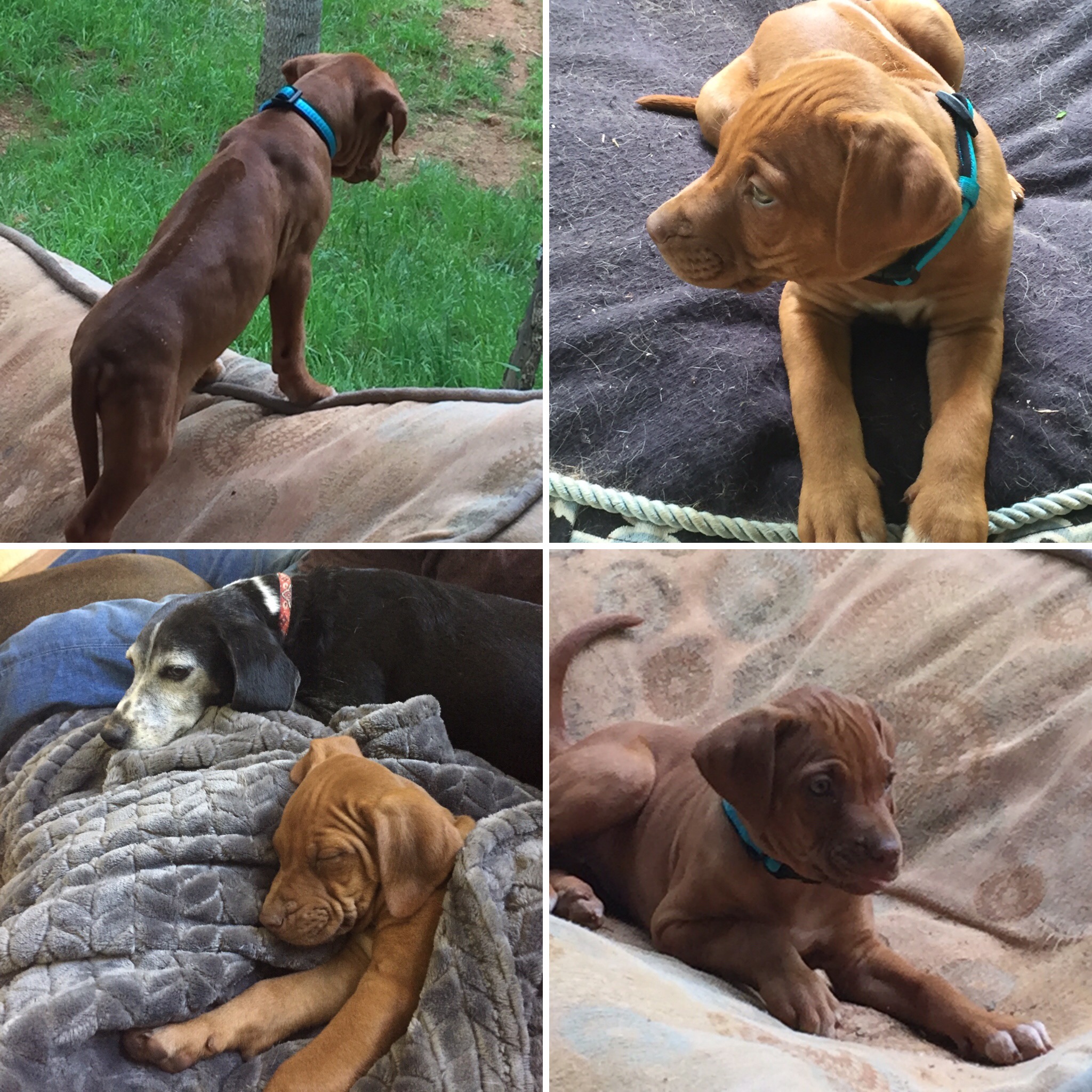 0CE6E0E2-894C-4001-B18C-F15DAA54E543